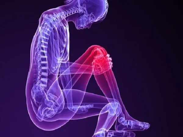 همه چیز درباره رباط صلیبی